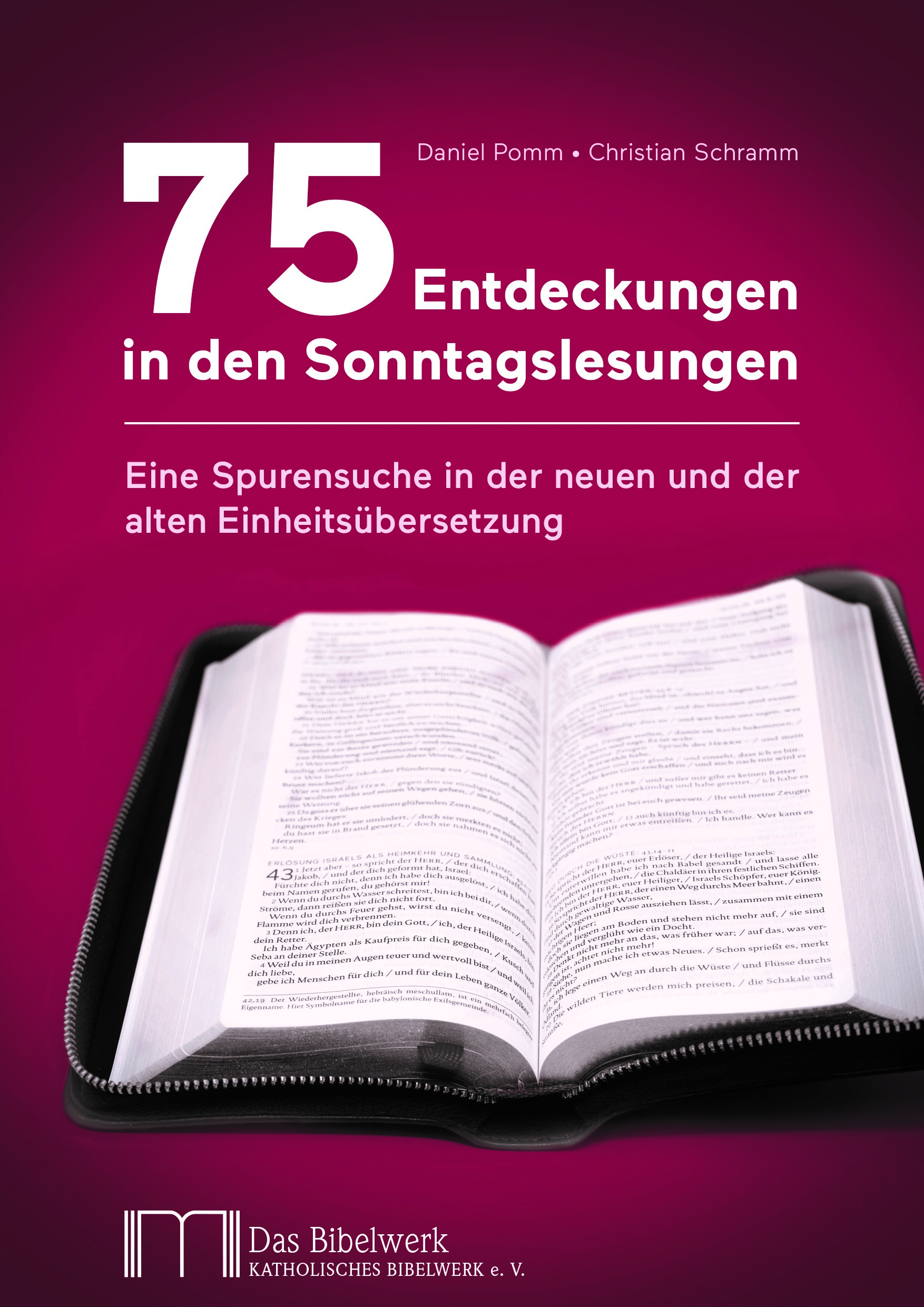 Abbildung Buch